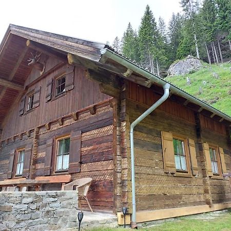 Siegel Almhuette Vila Zederhaus Exterior foto