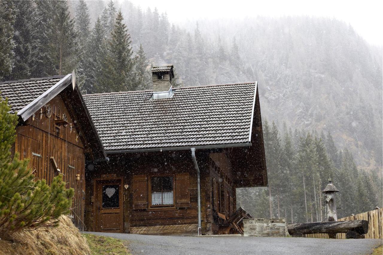 Siegel Almhuette Vila Zederhaus Exterior foto