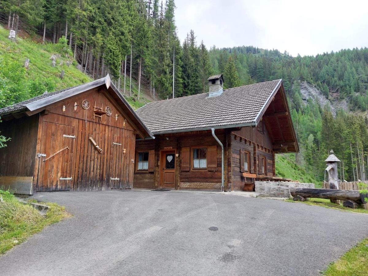 Siegel Almhuette Vila Zederhaus Exterior foto