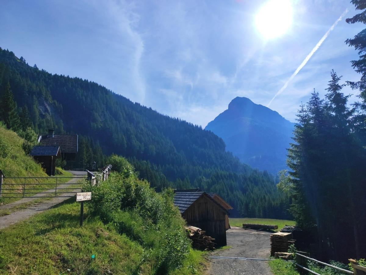 Siegel Almhuette Vila Zederhaus Exterior foto